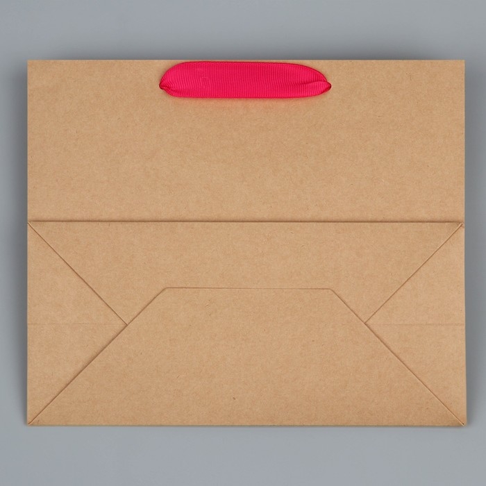 Пакет подарочный крафтовый с пластиковым окном, упаковка, «Фламинго», 24 х 20 х 11см Пакет подарочный крафтовый с пластиковым окном, упаковка, «Фламинго», 24 х 20 х 11см