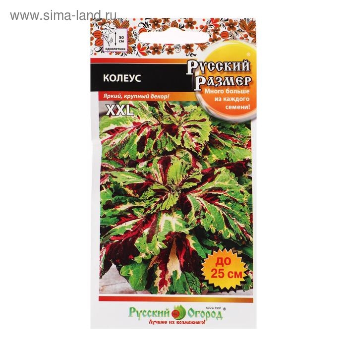 Семена цветов Колеус, серия Русский размер, 4 шт Семена цветов Колеус, серия Русский размер, 4 шт