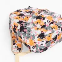 Рюкзак школьный &laquo;Котики&raquo;, с пеналом, 29&times;12&times;41 см, разноцветный