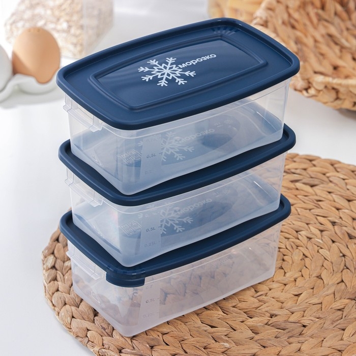 Набор прямоугольных контейнеров для замораживания продуктов «Морозко», 1 л , 3 шт, прозрачные, крышки микс Набор прямоугольных контейнеров для замораживания продуктов «Морозко», 1 л , 3 шт, прозрачные, крышки микс