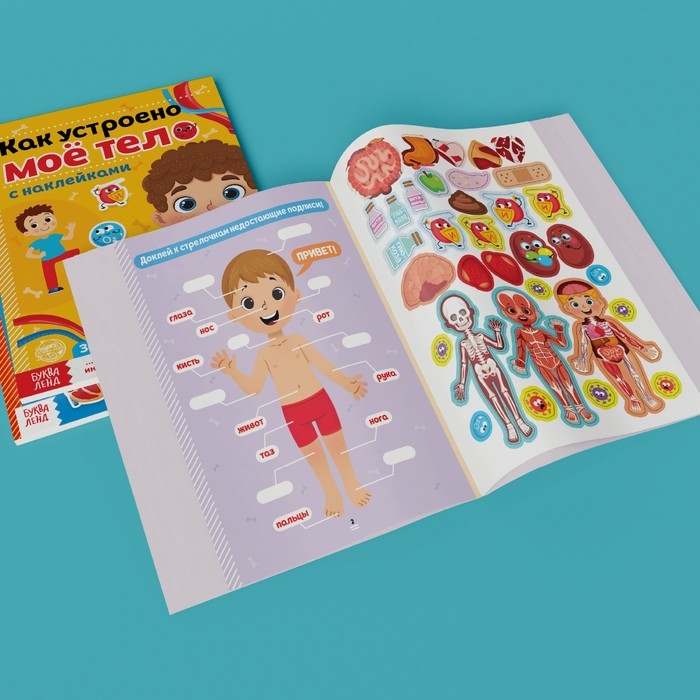 Наклейки набор «Тело человека», 2 шт. по 16 стр. Наклейки набор «Тело человека», 2 шт. по 16 стр.