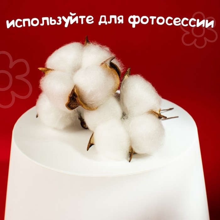 Сухие цветы хлопка, набор 3 шт., размер 1 шт. 6 × 6 см, цвет белый Сухие цветы хлопка, набор 3 шт., размер 1 шт. 6 × 6 см, цвет белый