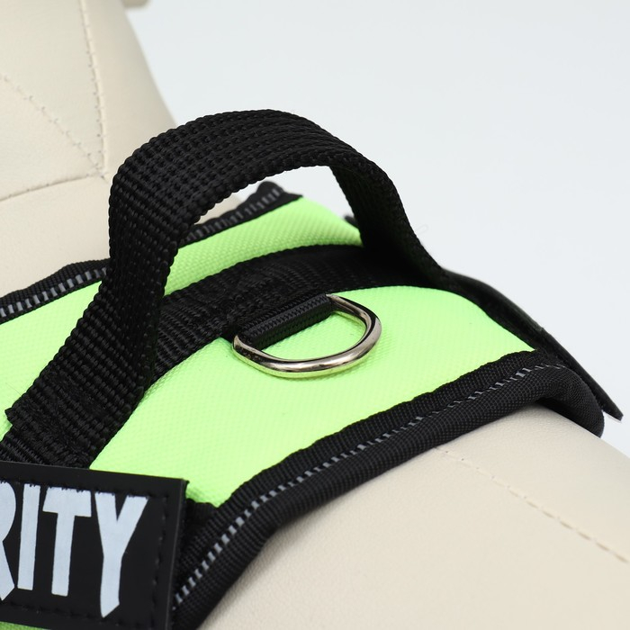 Шлейка К9 мягкая светоотражающая, размер ХS, ОГ 38-50 см, вес 3-6 кг, зелёная Шлейка К9 мягкая светоотражающая, размер ХS, ОГ 38-50 см, вес 3-6 кг, зелёная