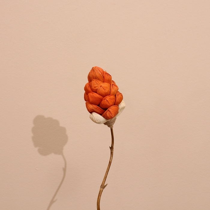 Сухоцвет на бамбуковом стебле 150 см коралловый Сухоцвет на бамбуковом стебле 150 см коралловый