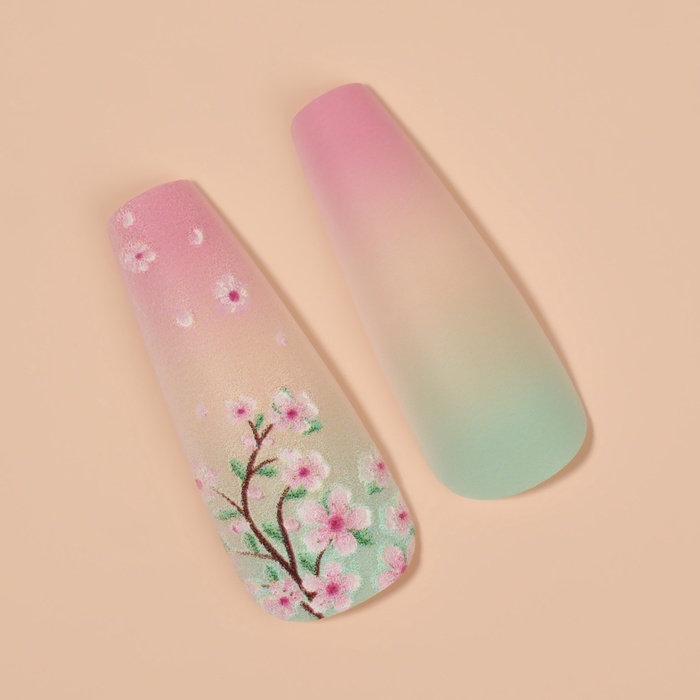 Ногти накладные с кл пластинами 12шт Sakura балерина роз/зелен к/кор QF Ногти накладные с кл пластинами 12шт Sakura балерина роз/зелен к/кор QF