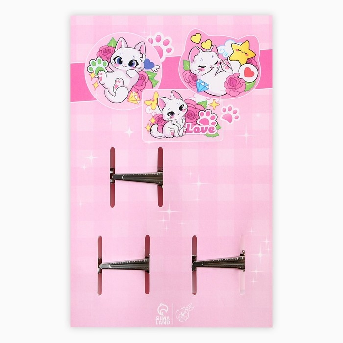 Заколки для волос «Самая необыкновенная» с наклейками, 8.5 х 13 см Заколки для волос «Самая необыкновенная» с наклейками, 8.5 х 13 см