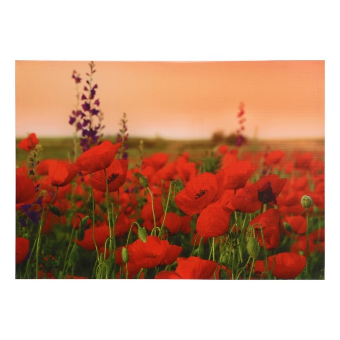 Картина Картина "Маковое поле" 50*70 см