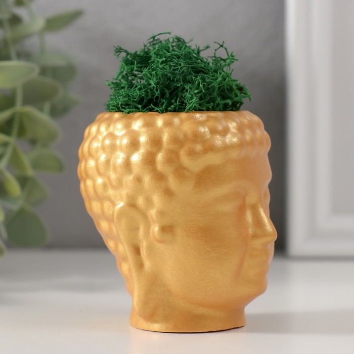 Кашпо бетонное  Кашпо бетонное "Будда" со мхом 7*6см золото (мох зеленый стабилизированный)