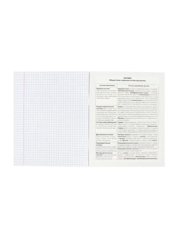 Тетрадь 48 листов в клетку «Гармония» БИОЛОГИЯ, обложка мелованный картон, выборочный лак, с интерактивным справочником, блок офсет Тетрадь 48 листов в клетку «Гармония» БИОЛОГИЯ, обложка мелованный картон, выборочный лак, с интерактивным справочником, блок офсет