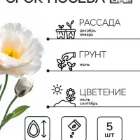 Семена цветов Эустома &laquo;Сапфир&raquo;, F1, белая крупноцветковая, 5 шт., &laquo;Аэлита&raquo; селекция PanAmerican Seed