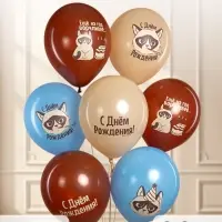 Воздушные шары латексные 12" &laquo;С Днем Рождения! (Сердитая кошка)&raquo;, МИКС, набор 25 шт.