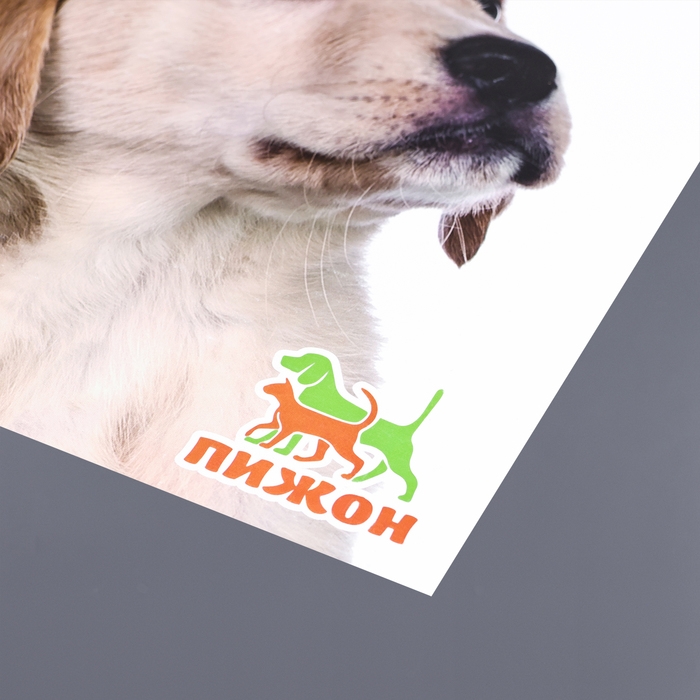 Коврик под миску  Коврик под миску "Пижон" 43 х 28 см"Мне сосиска, тебе игрушка!"