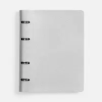 Ежедневник Ringo, недатированный, серебристый Ежедневник Ringo, недатированный, серебристый