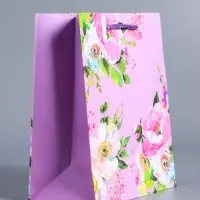 Пакет подарочный ламинированный &laquo;Радость&raquo;, сиреневый, 18&times;22.3&times;10 см