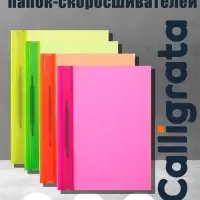 Набор папок-скоросшивателей А4, Calligrata Neon, 160 мкм, 8 штук, МИКС, прозрачный верх