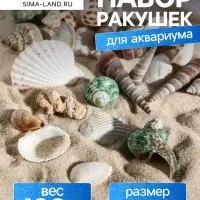 Набор ракушек Пижон Аква 100 г, микс №1