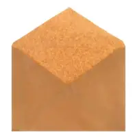 Конверт С4, 229&times;324 мм, крафт, без подсказа, без окна, без клея, 90 г/м&sup2;