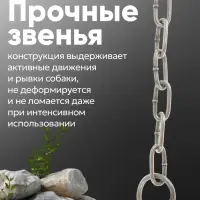 Цепь для привязи собак, 3 м, калибр 3&times;21 мм, черная