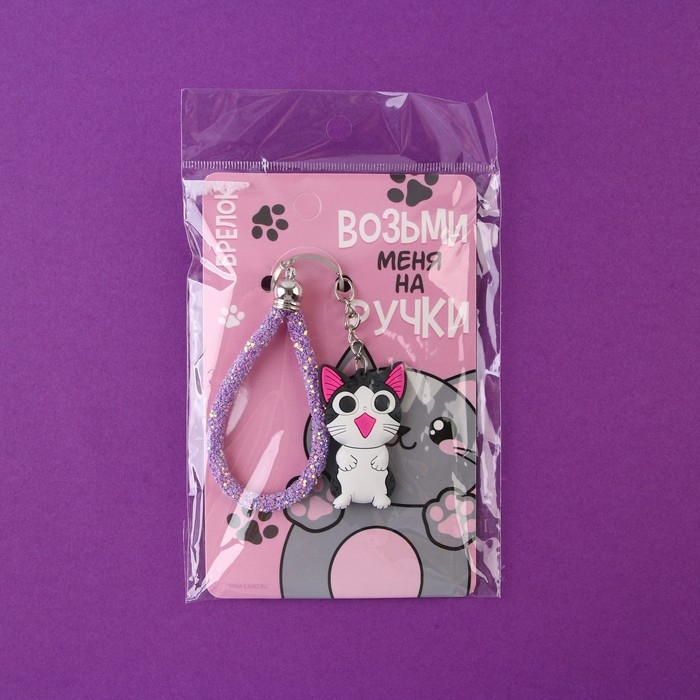 Брелок для ключей «Возьми меня на ручки», 12 х 3,5 см Брелок для ключей «Возьми меня на ручки», 12 х 3,5 см