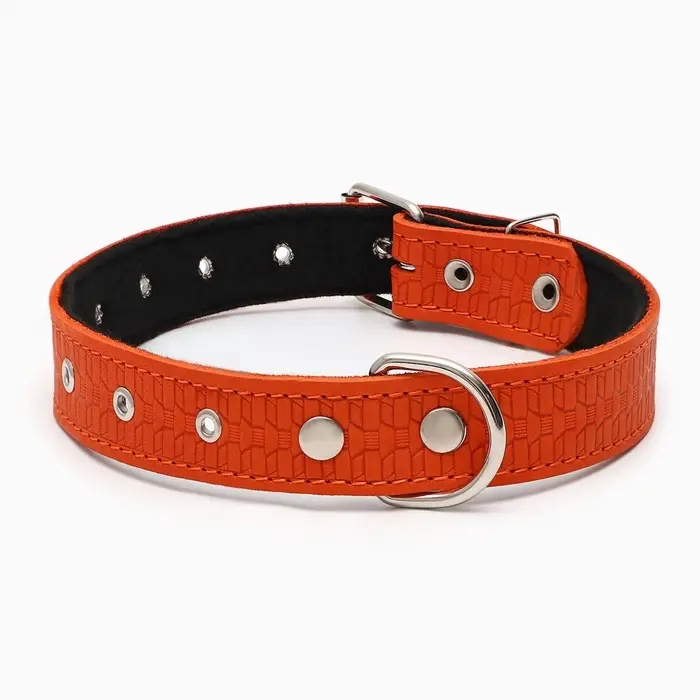 Ошейник тиснёный, 67&times;3.5 см, ОШ 31-60 см, на фетре, безразмерный, кожа, оранжевый