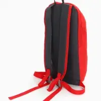 Рюкзак спортивный TEXTURA, на молнии, с карманом, размер 20&times;11&times;39 см, красный