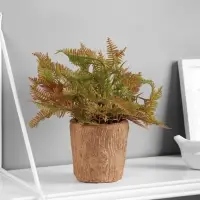 Искусственный цветок в горшке &laquo;Папоротниковидный уил&raquo;, 8&times;22 см, МИКС