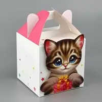 Подарочная коробка, упаковка &laquo;Котик&raquo; 10&times;10&times;10 см