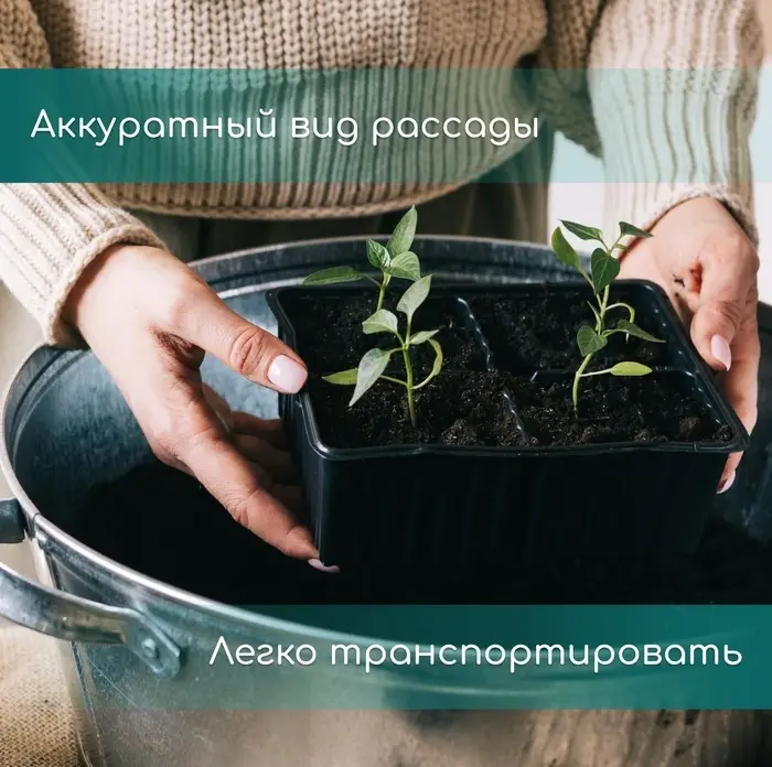 Кассета для рассады, на 32 ячейки, по 110 мл, пластиковая, чёрная, 53.5&times;27&times;5.5 см, Greengo