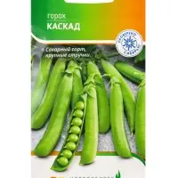Семена Горох &laquo;Каскад&raquo;, 10 г, &laquo;Агрос&raquo;