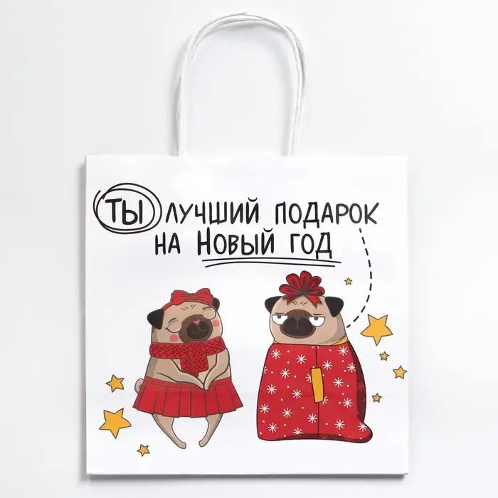 Пакет подарочный новогодний «Ты - лучший подарок», 22 х 22 х 11 см