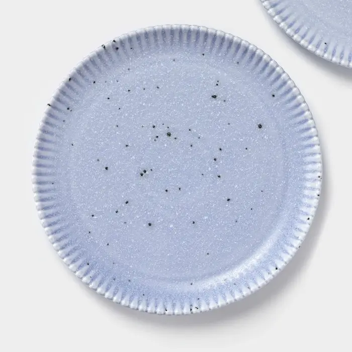 Тарелки Доляна &laquo;Коралл&raquo;, d=20.8 см, набор 2 шт., фарфор, голубые