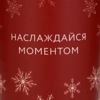Термостакан новогодний «Наслаждайся моментом», 450 мл