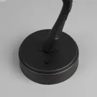 Светодиодный куст &laquo;Цветы&raquo; 45 см, 24 LED, постоянное свечение, от батареек AAx3, USB, свечение тёплое белое