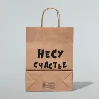 Пакет подарочный «Несу счастье», крафт, 24 х 14 х 28 см, 1 шт.