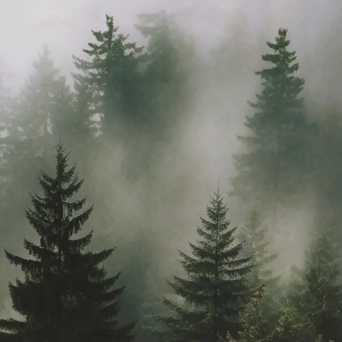 Пакет подарочный крафтовый «Туманный лес» 18×8×25 см, 120 г/м²