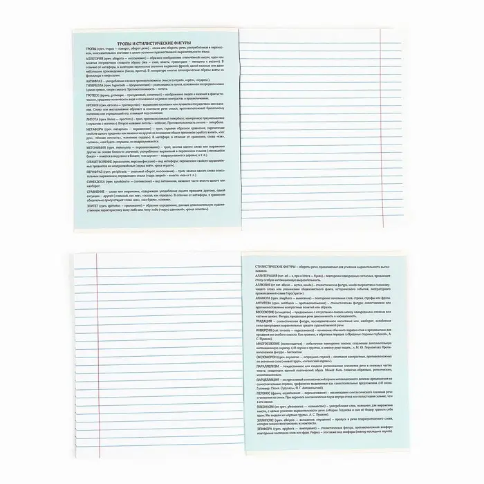 Тетрадь в линейку, предметная, 36 л.,на скрепке, блок №1&laquo;Мемы. Литература&raquo;