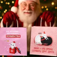 Пакеты подарочные крафтовые &laquo;Капелька волшебства&raquo;, набор 5 шт., 22&times;22&times;11 см