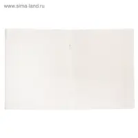 Тетрадь 48 листов в линейку Calligrata «Цвет и графика», обложка мелованная бумага, блок №2, белизна 75% (серые листы), МИКС