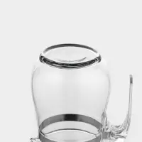 Чайник заварочный Magistro &laquo;Шейди&raquo;, 500 мл, с металлическим ситом и крышкой, боросиликатное стекло, прозрачный