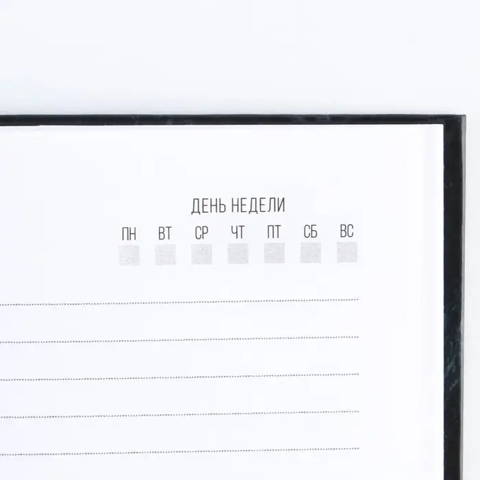 Ежедневник А5, 80 листов, недатированный, в твердой обложке «Ты настоящий мужчина» Ежедневник А5, 80 листов, недатированный, в твердой обложке «Ты настоящий мужчина»