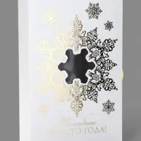 Коробка подарочная‒книга &laquo;Волшебного Нового года&raquo;, тиснение, 20&times;12.5&times;5 см