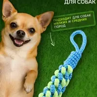Игрушка канатная, плетёная с ручкой, 120 г, до 31 см, синяя, зелёная