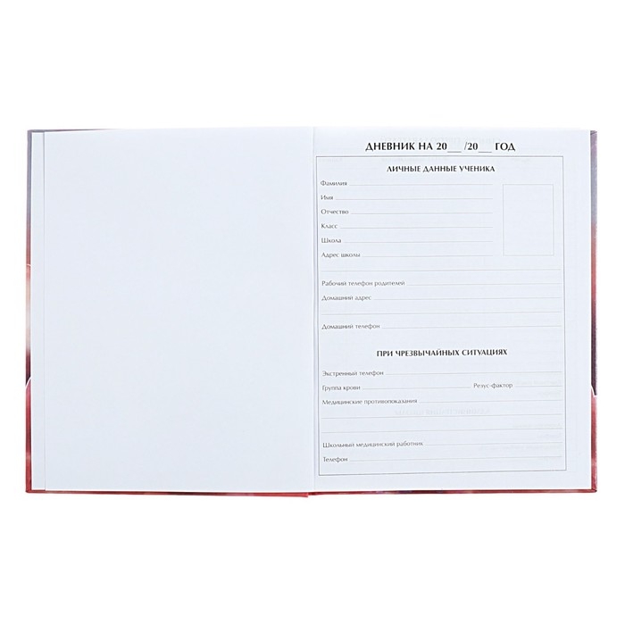 Дневник для 5-11 классов Дневник для 5-11 классов "Котята в облаках", твёрдая обложка, голография, 48 листов