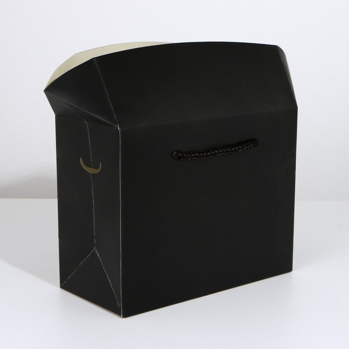 Пакет—коробка «Чёрный», 28×20×13 см Пакет—коробка «Чёрный», 28×20×13 см