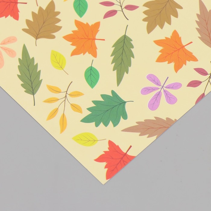 Бумага для скрапбукинга двусторонняя  Бумага для скрапбукинга двусторонняя "Листья" плотность 180 гр набор 10 шт 15,5х17 см
