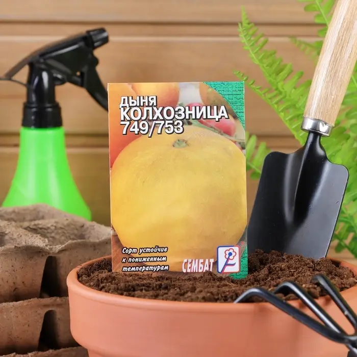 Семена Дыня Семена Дыня "Колхозница" "Лидер", 1 г