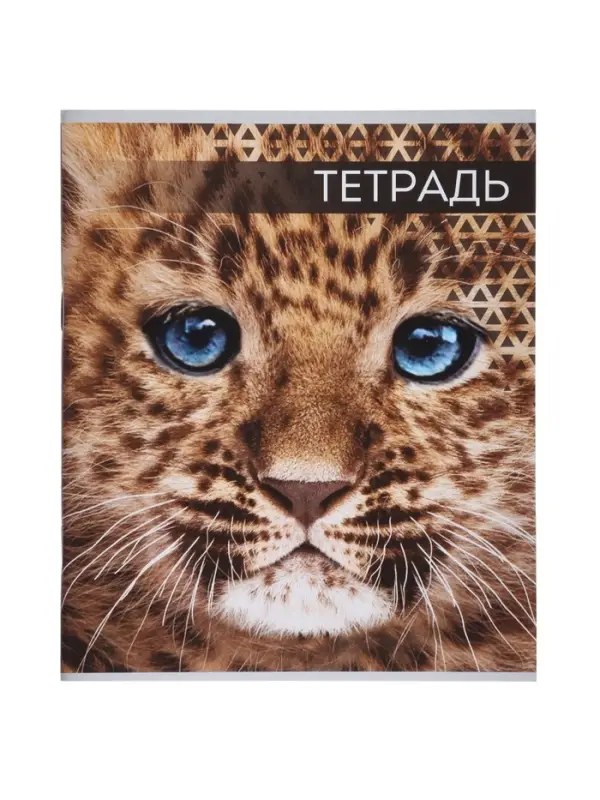 Комплект тетрадей, 48 листов в клетку, Calligrata &laquo;Дикие кошки&raquo;, 4 штуки
