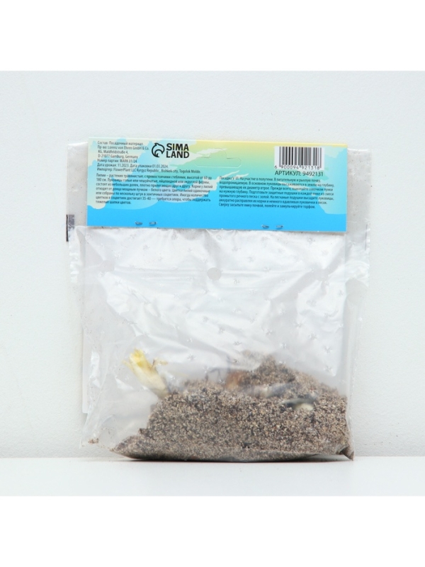 Лилия Азиатская Кашпо Happy Ice, рлуковица в пакете с перфорацией, -р 12/14, 2 шт.