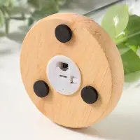 Фигурка световая колба RISALUX &laquo;Роза&raquo;, LED - ночник, 3&times;ААА, белый, 9.5&times;9.5&times;19.5 см