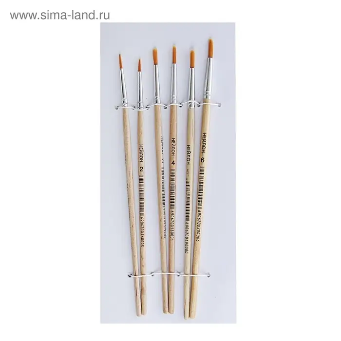Набор кистей для рисования, нейлон, 6 штук: №1, 2, 3, 4, 5, 6, круглые, деревянная ручка, международный размер